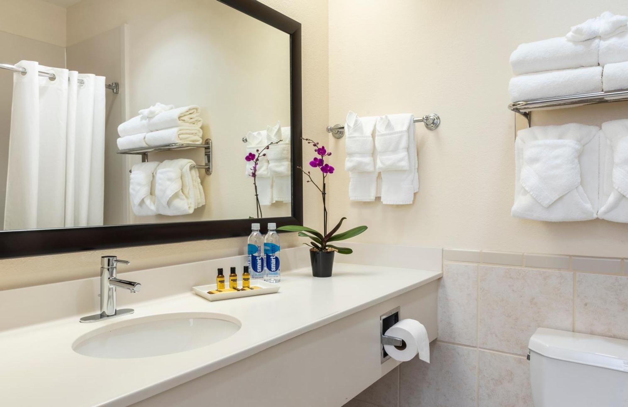 Best Western Plus Downtown Inn & Suites Houston Exterior foto