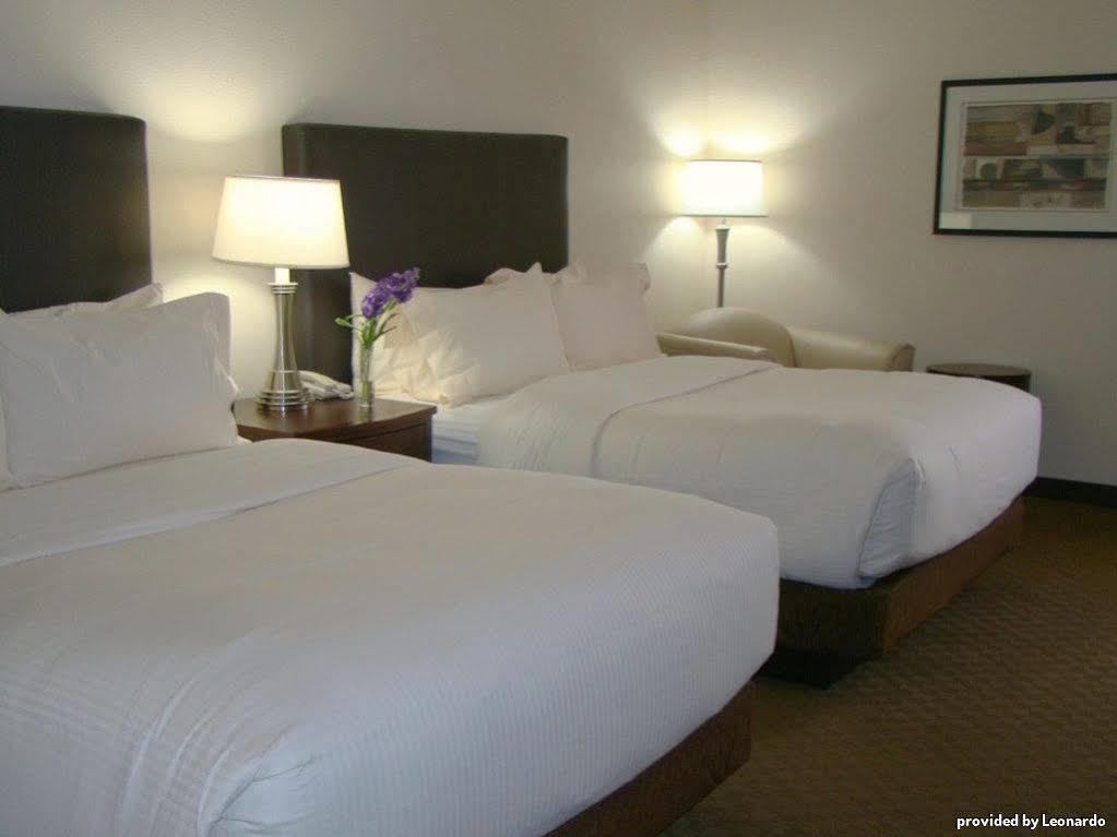 Best Western Plus Downtown Inn & Suites Houston Quarto foto